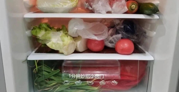 年可以少交不少电费学会回家试试尊龙凯时app冰箱放一个口罩一